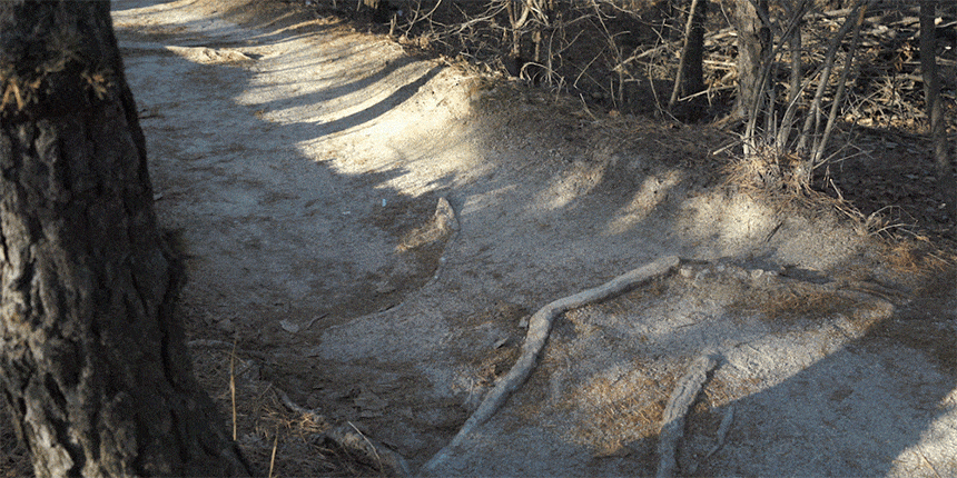 6638eeb7ffb6531d8ced7348cf84d0f8_1781514377_2211.gif 6638eeb7ffb6531d8ced7348cf84d0f8_1781514377_2211.gif